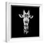 Safari Profile Collection - Portrait of Giraffe Black Edition IV-Philippe Hugonnard-Framed Premium Photographic Print