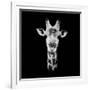 Safari Profile Collection - Portrait of Giraffe Black Edition IV-Philippe Hugonnard-Framed Photographic Print