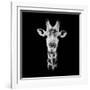 Safari Profile Collection - Portrait of Giraffe Black Edition IV-Philippe Hugonnard-Framed Photographic Print