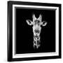 Safari Profile Collection - Portrait of Giraffe Black Edition IV-Philippe Hugonnard-Framed Photographic Print