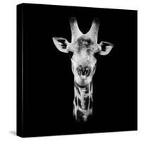 Safari Profile Collection - Portrait of Giraffe Black Edition IV-Philippe Hugonnard-Stretched Canvas