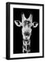 Safari Profile Collection - Portrait of Giraffe Black Edition V-Philippe Hugonnard-Framed Photographic Print