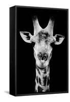 Safari Profile Collection - Portrait of Giraffe Black Edition V-Philippe Hugonnard-Framed Stretched Canvas