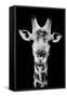 Safari Profile Collection - Portrait of Giraffe Black Edition V-Philippe Hugonnard-Framed Stretched Canvas