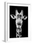 Safari Profile Collection - Portrait of Giraffe Black Edition V-Philippe Hugonnard-Framed Premium Photographic Print