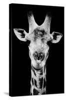 Safari Profile Collection - Portrait of Giraffe Black Edition V-Philippe Hugonnard-Stretched Canvas