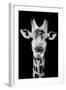 Safari Profile Collection - Portrait of Giraffe Black Edition V-Philippe Hugonnard-Framed Photographic Print