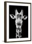 Safari Profile Collection - Portrait of Giraffe Black Edition V-Philippe Hugonnard-Framed Photographic Print