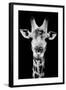 Safari Profile Collection - Portrait of Giraffe Black Edition V-Philippe Hugonnard-Framed Photographic Print