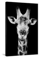 Safari Profile Collection - Portrait of Giraffe Black Edition V-Philippe Hugonnard-Stretched Canvas