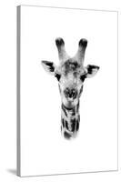 Safari Profile Collection - Portrait of Giraffe White Edition II-Philippe Hugonnard-Stretched Canvas