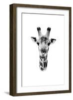 Safari Profile Collection - Portrait of Giraffe White Edition II-Philippe Hugonnard-Framed Photographic Print