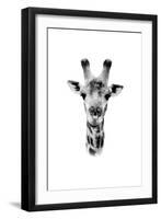 Safari Profile Collection - Portrait of Giraffe White Edition II-Philippe Hugonnard-Framed Photographic Print