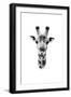 Safari Profile Collection - Portrait of Giraffe White Edition II-Philippe Hugonnard-Framed Photographic Print