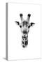 Safari Profile Collection - Portrait of Giraffe White Edition II-Philippe Hugonnard-Stretched Canvas