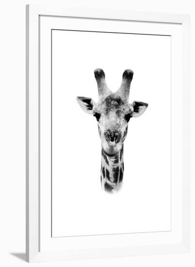 Safari Profile Collection - Portrait of Giraffe White Edition II-Philippe Hugonnard-Framed Photographic Print