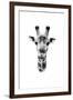 Safari Profile Collection - Portrait of Giraffe White Edition II-Philippe Hugonnard-Framed Photographic Print