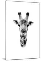 Safari Profile Collection - Portrait of Giraffe White Edition II-Philippe Hugonnard-Mounted Photographic Print