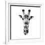 Safari Profile Collection - Portrait of Giraffe White Edition IV-Philippe Hugonnard-Framed Photographic Print