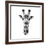 Safari Profile Collection - Portrait of Giraffe White Edition IV-Philippe Hugonnard-Framed Photographic Print