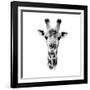 Safari Profile Collection - Portrait of Giraffe White Edition IV-Philippe Hugonnard-Framed Photographic Print