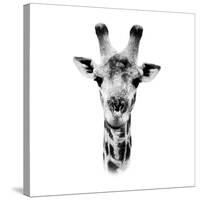 Safari Profile Collection - Portrait of Giraffe White Edition IV-Philippe Hugonnard-Stretched Canvas