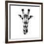 Safari Profile Collection - Portrait of Giraffe White Edition IV-Philippe Hugonnard-Framed Photographic Print