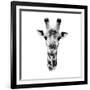 Safari Profile Collection - Portrait of Giraffe White Edition IV-Philippe Hugonnard-Framed Photographic Print