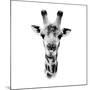 Safari Profile Collection - Portrait of Giraffe White Edition IV-Philippe Hugonnard-Mounted Photographic Print