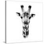 Safari Profile Collection - Portrait of Giraffe White Edition IV-Philippe Hugonnard-Stretched Canvas