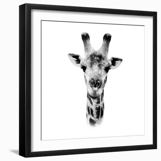 Safari Profile Collection - Portrait of Giraffe White Edition IV-Philippe Hugonnard-Framed Premium Photographic Print