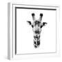 Safari Profile Collection - Portrait of Giraffe White Edition IV-Philippe Hugonnard-Framed Premium Photographic Print