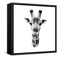Safari Profile Collection - Portrait of Giraffe White Edition IV-Philippe Hugonnard-Framed Stretched Canvas