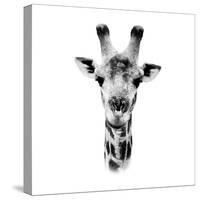 Safari Profile Collection - Portrait of Giraffe White Edition IV-Philippe Hugonnard-Stretched Canvas