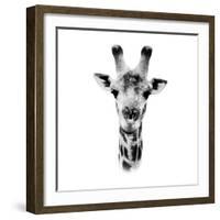 Safari Profile Collection - Portrait of Giraffe White Edition IV-Philippe Hugonnard-Framed Photographic Print