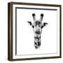 Safari Profile Collection - Portrait of Giraffe White Edition IV-Philippe Hugonnard-Framed Photographic Print