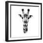 Safari Profile Collection - Portrait of Giraffe White Edition IV-Philippe Hugonnard-Framed Photographic Print