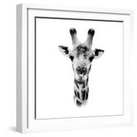 Safari Profile Collection - Portrait of Giraffe White Edition IV-Philippe Hugonnard-Framed Photographic Print