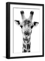 Safari Profile Collection - Portrait of Giraffe White Edition V-Philippe Hugonnard-Framed Premium Photographic Print