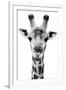 Safari Profile Collection - Portrait of Giraffe White Edition V-Philippe Hugonnard-Framed Photographic Print