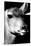 Safari Profile Collection - Portrait of Impala Black Edition-Philippe Hugonnard-Stretched Canvas