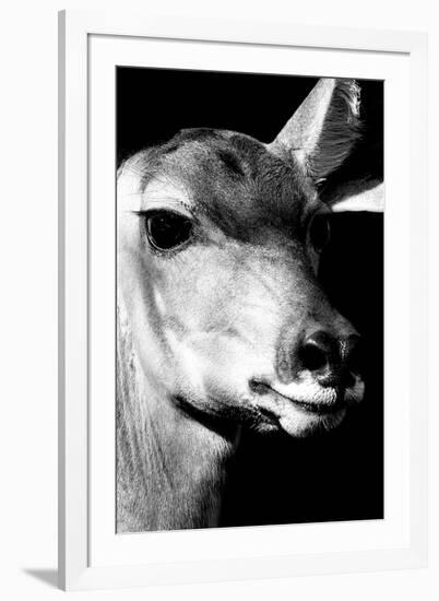 Safari Profile Collection - Portrait of Impala Black Edition-Philippe Hugonnard-Framed Photographic Print