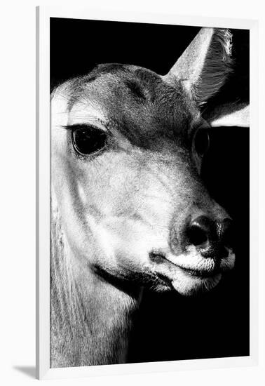 Safari Profile Collection - Portrait of Impala Black Edition-Philippe Hugonnard-Framed Photographic Print