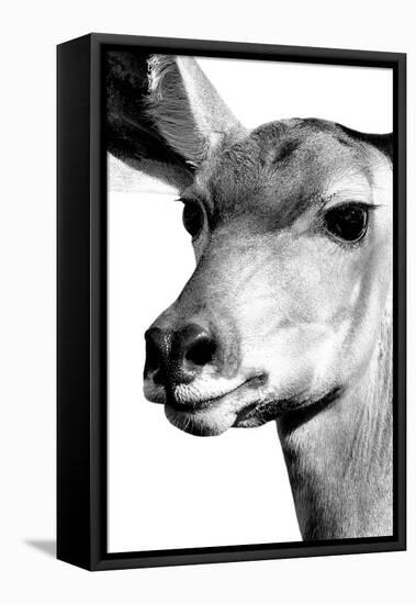 Safari Profile Collection - Portrait of Impala White Edition-Philippe Hugonnard-Framed Stretched Canvas