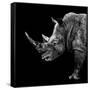 Safari Profile Collection - Rhino Black Edition II-Philippe Hugonnard-Framed Stretched Canvas