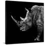 Safari Profile Collection - Rhino Black Edition II-Philippe Hugonnard-Stretched Canvas