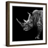 Safari Profile Collection - Rhino Black Edition II-Philippe Hugonnard-Framed Photographic Print