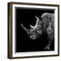 Safari Profile Collection - Rhino Black Edition II-Philippe Hugonnard-Framed Photographic Print