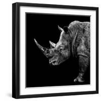 Safari Profile Collection - Rhino Black Edition II-Philippe Hugonnard-Framed Photographic Print