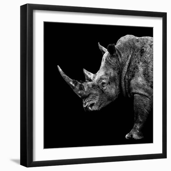 Safari Profile Collection - Rhino Black Edition II-Philippe Hugonnard-Framed Photographic Print